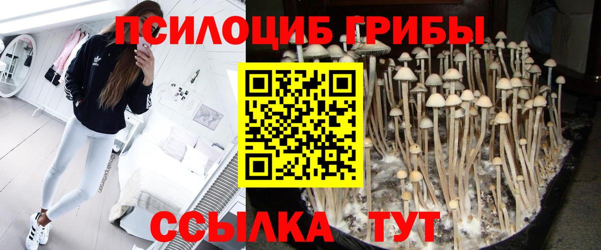 купить   Галлюциногенные грибы мицелий  Вход с VPN  Сергиев Посад 